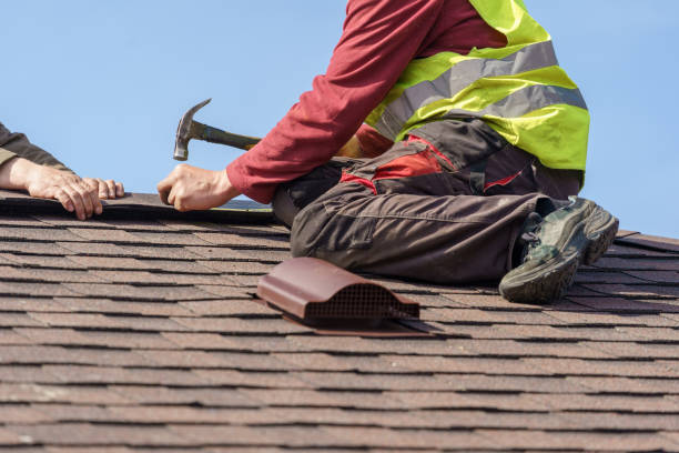 Best Residential Roofing Contractor  in Presidio, TX